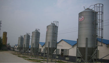 Silo galvanisé d'alimentation pour la ferme avicole